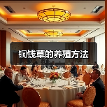 铜钱草的养殖方法(图4)