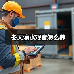 冬天滴水观音怎么养(图4)