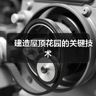 建造屋顶花园的关键技术(图4)