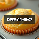 晚香玉的种植技巧(图4)
