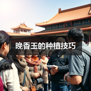 晚香玉的种植技巧(图3)