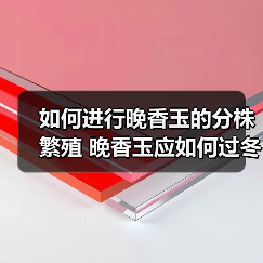 如何进行晚香玉的分株繁殖 晚香玉应如何过冬(图4)