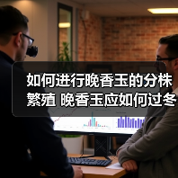 如何进行晚香玉的分株繁殖 晚香玉应如何过冬(图3)