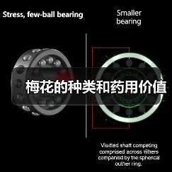 梅花的种类和药用价值(图4)