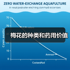 梅花的种类和药用价值(图1)