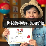 梅花的种类和药用价值(图3)