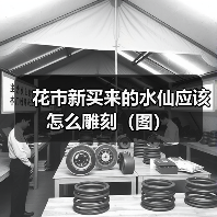 花市新买来的水仙应该怎么雕刻（图）(图1)
