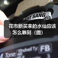 花市新买来的水仙应该怎么雕刻（图）(图3)