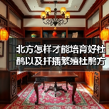 北方怎样才能培育好杜鹃以及扦插繁殖杜鹃方法(图4)
