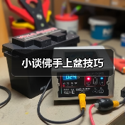 小谈佛手上盆技巧(图3)