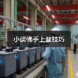 小谈佛手上盆技巧(图1)