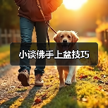小谈佛手上盆技巧(图4)