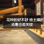 花种的好不好 给土壤的消毒也很关键(图1)