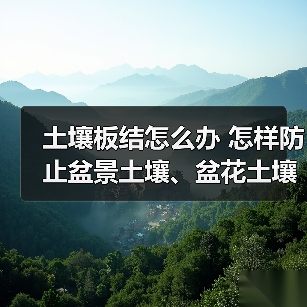 土壤板结怎么办 怎样防止盆景土壤、盆花土壤板结？(图1)