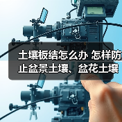 土壤板结怎么办 怎样防止盆景土壤、盆花土壤板结？(图2)