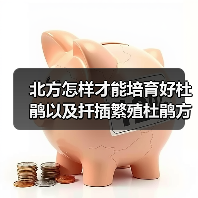 北方怎样才能培育好杜鹃以及扦插繁殖杜鹃方法(图1)