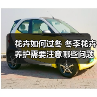 花卉如何过冬 冬季花卉养护需要注意哪些问题(图2)