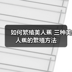 如何繁殖美人蕉 三种美人蕉的繁殖方法(图1)