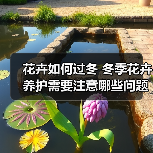 花卉如何过冬 冬季花卉养护需要注意哪些问题(图1)