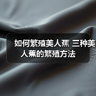 如何繁殖美人蕉 三种美人蕉的繁殖方法(图2)