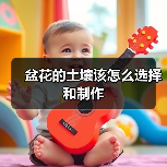 盆花的土壤该怎么选择和制作(图4)