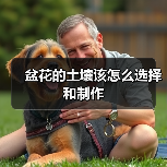盆花的土壤该怎么选择和制作(图1)