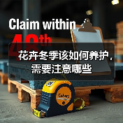 花卉冬季该如何养护，需要注意哪些(图1)