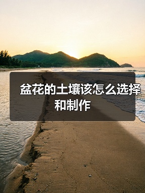 盆花的土壤该怎么选择和制作(图2)