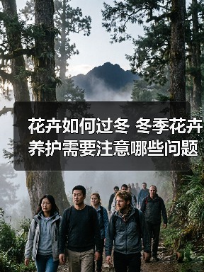 花卉如何过冬 冬季花卉养护需要注意哪些问题(图3)