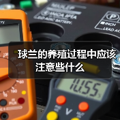 球兰的养殖过程中应该注意些什么(图1)