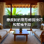橡皮树的整形修剪技巧和繁殖手段(图3)