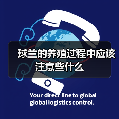 球兰的养殖过程中应该注意些什么(图4)
