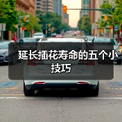 延长插花寿命的五个小技巧(图4)
