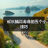 延长插花寿命的五个小技巧(图3)