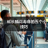 延长插花寿命的五个小技巧(图1)