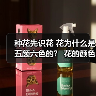 种花先识花 花为什么是五颜六色的？ 花的颜色共有多少种 什么颜色的花最多(图3)