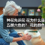 种花先识花 花为什么是五颜六色的？ 花的颜色共有多少种 什么颜色的花最多(图2)