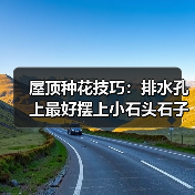 屋顶种花技巧：排水孔上最好摆上小石头石子(图2)