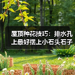 屋顶种花技巧：排水孔上最好摆上小石头石子(图1)