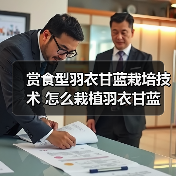 赏食型羽衣甘蓝栽培技术 怎么栽植羽衣甘蓝(图4)