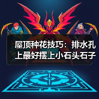 屋顶种花技巧：排水孔上最好摆上小石头石子(图3)