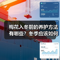 梅花入冬前的养护方法有哪些？冬季应该如何养护梅花？(图1)