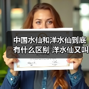 中国水仙和洋水仙到底有什么区别 洋水仙又叫什么(图1)