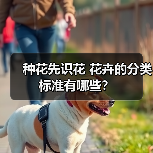 种花先识花 花卉的分类标准有哪些？(图2)