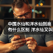 中国水仙和洋水仙到底有什么区别 洋水仙又叫什么(图2)