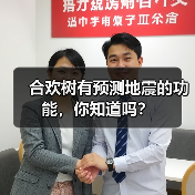 合欢树有预测地震的功能，你知道吗？(图4)