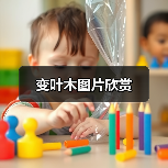 变叶木图片欣赏(图1)