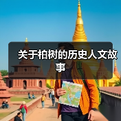 关于柏树的历史人文故事(图1)