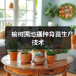 榆树圃地播种育苗生产技术(图3) 榆树圃地播种育苗生产技术(图3)