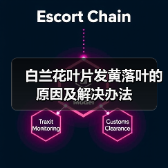 白兰花叶片发黄落叶的原因及解决办法(图1)